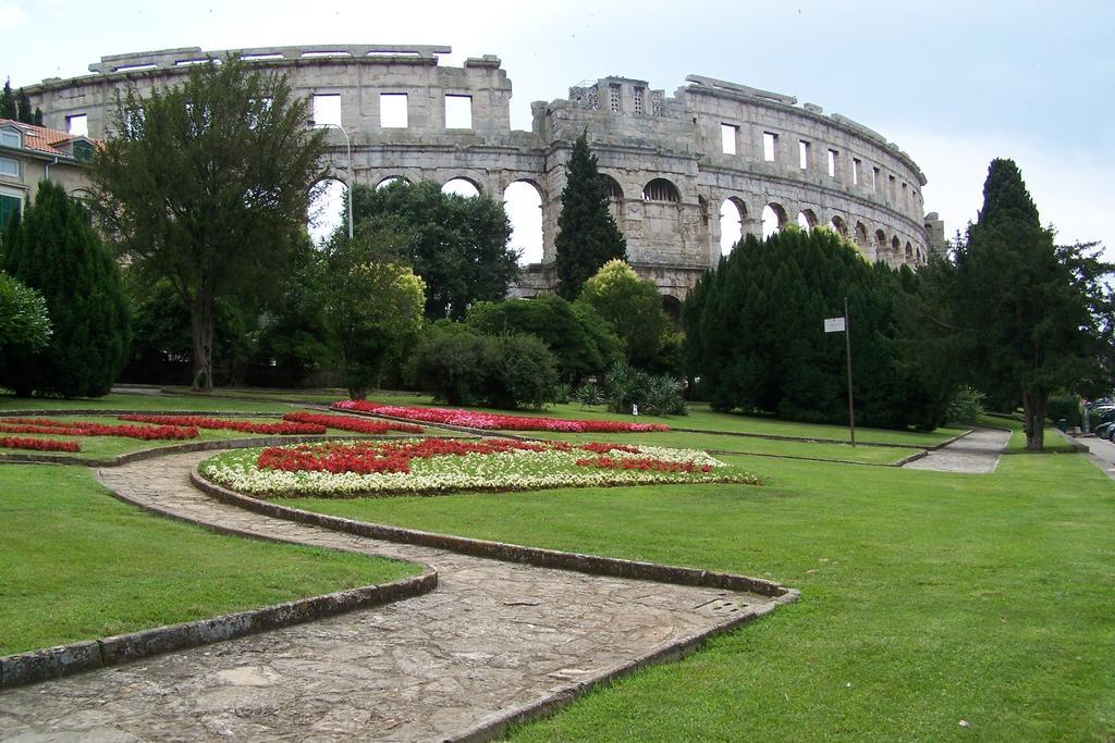 Din Pula